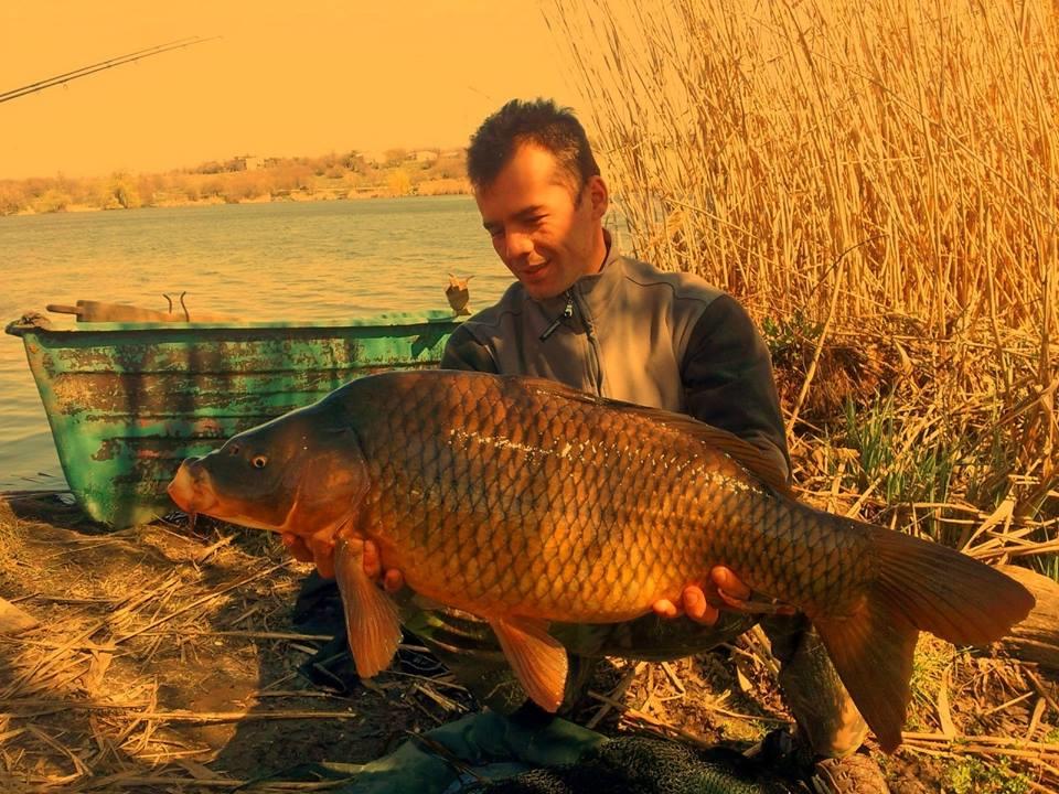 Best Off - 1491197609575735756898530103200n.jpg